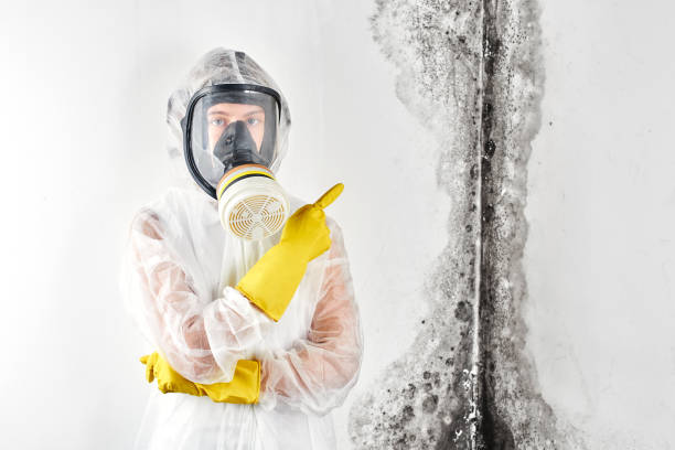 Best Environmental Consulting for Mold Prevention  in Wagner, SD