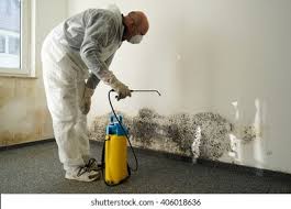 Best Residential Mold Inspection & Testing  in Wagner, SD